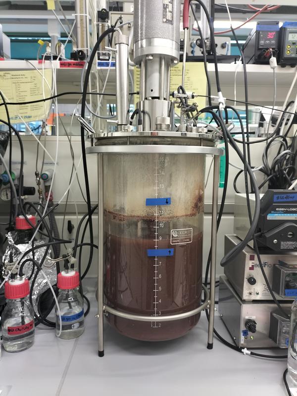 In einem Bioreaktor wachsen Methan-abbauende Mikroorganismen unter Ausschluss von Sauerstoff für Umwelt- und Industrieanwendungen.  Foto: Heleen Ouboter