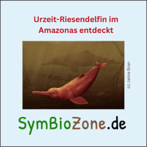 Urzeit-Riesendelfin im Amazonas entdeckt, SymBioZone.de Foto (c) Illustration Jaime Bran